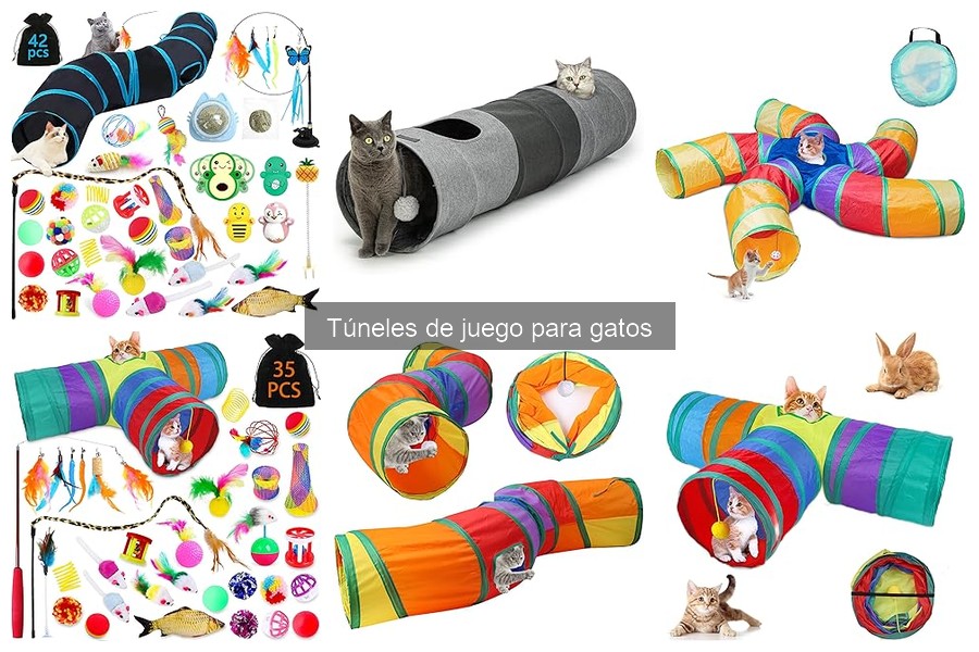 Túneles de juego para gatos: consejos de entrenamiento y experiencias