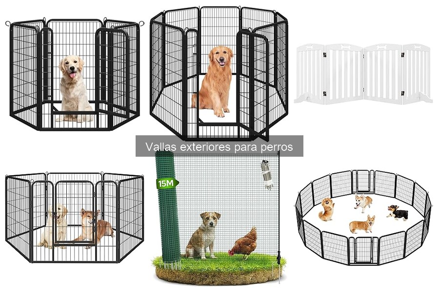 Vallas exteriores para perros: ¿qué considerar antes de comprar?