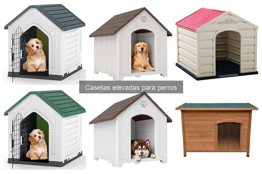 Ventajas de las Casetas Elevadas para Perros