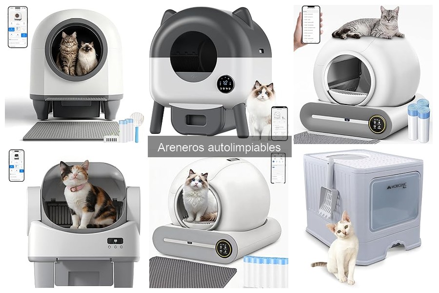 Ventajas de los areneros autolimpiables para gatos