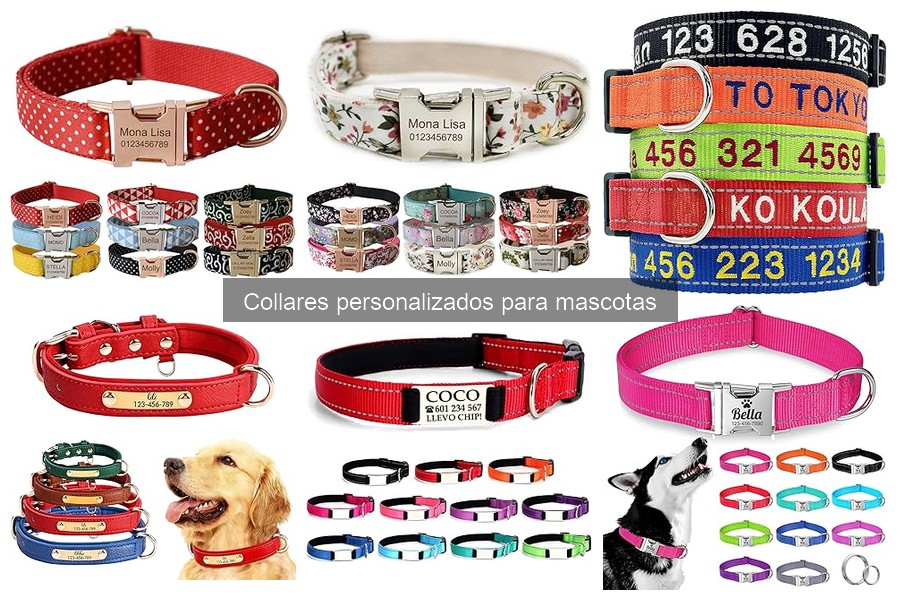 Ventajas de los collares personalizados para mascotas