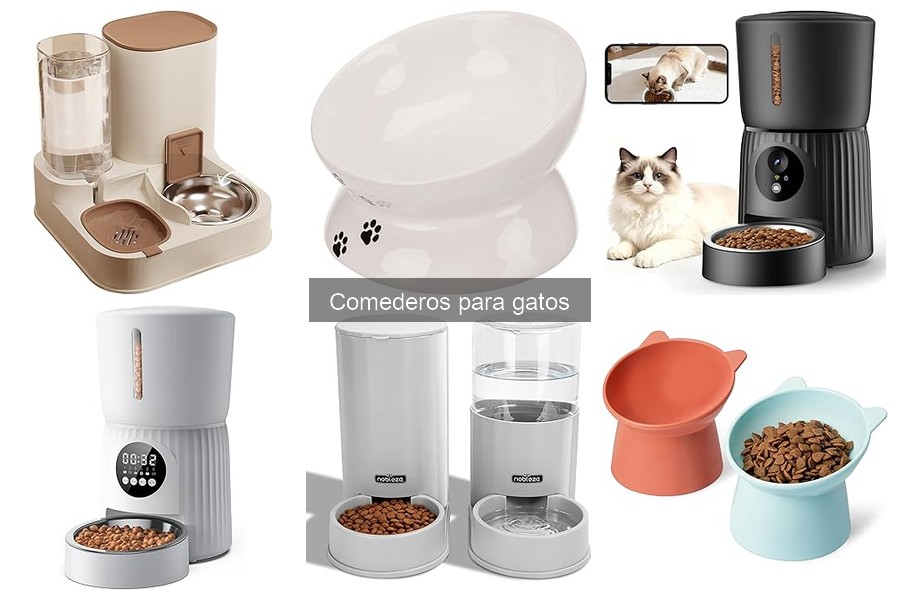 Ventajas de los Comederos Automáticos para Gatos