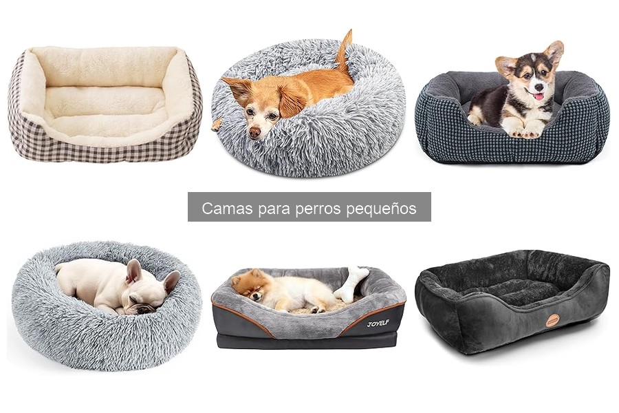 Ventajas de una cama adecuada para perros pequeños