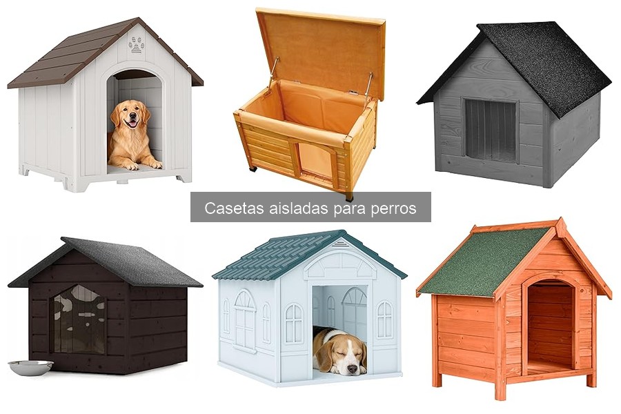 Ventajas de una Caseta Aislada para Perros en Invierno