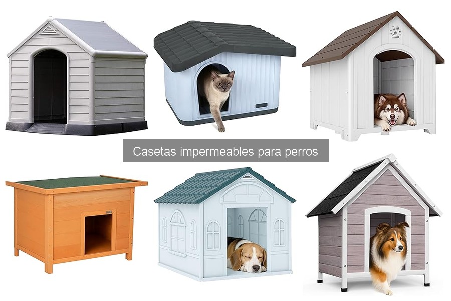 Ventajas de una caseta impermeable para perros