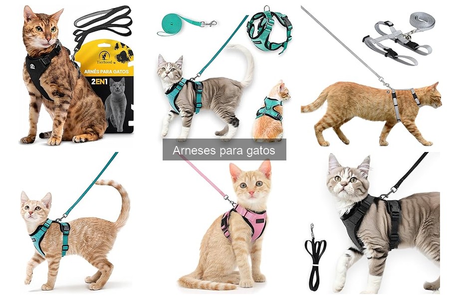 Ventajas de usar arneses para gatos en paseos y viajes