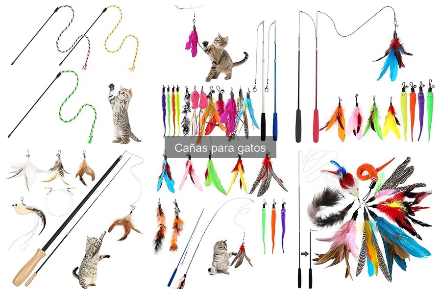 Ventajas de Usar Cañas para Gatos en su Juego Diario