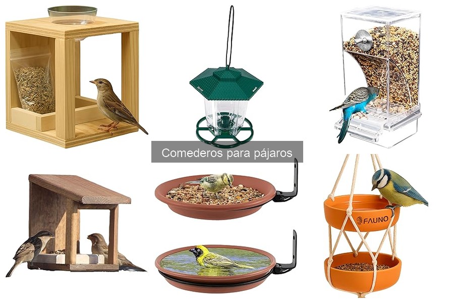 Ventajas de usar comederos para pájaros en tu hogar