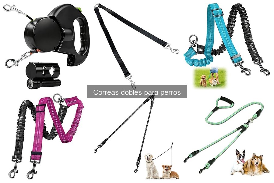 Ventajas de Usar Correas Dobles para Perros en Paseos