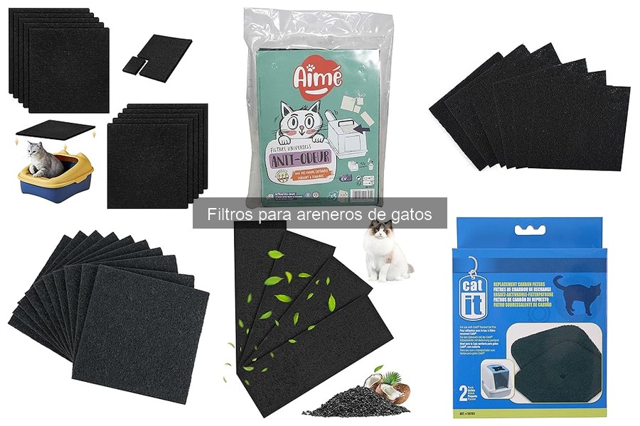 Ventajas de Usar Filtros en Areneros para Gatos