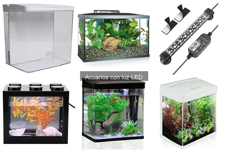 Ventajas de Usar Luces LED en Acuarios: Ahorro y Salud