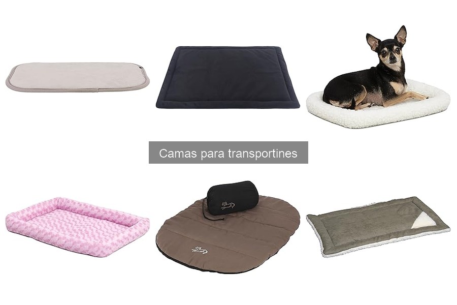 Ventajas de usar una cama en el transportín para mascotas