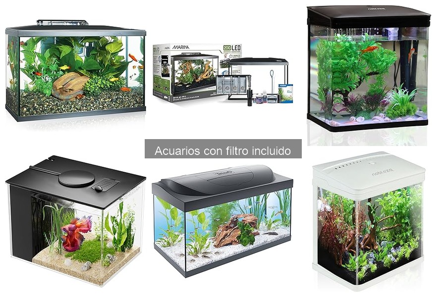 Ventajas y Desventajas de Acuarios con Filtro Incluido