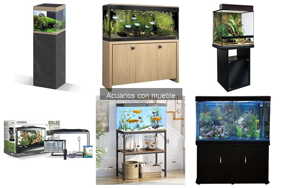 Ventajas y Desventajas de Acuarios con Mueble