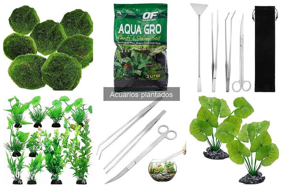 Ventajas y desventajas de acuarios plantados: ¿merece la pena?