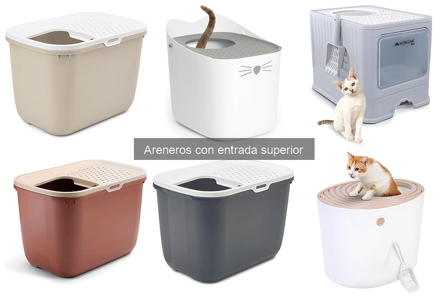Ventajas y Desventajas de Areneros con Entrada Superior
