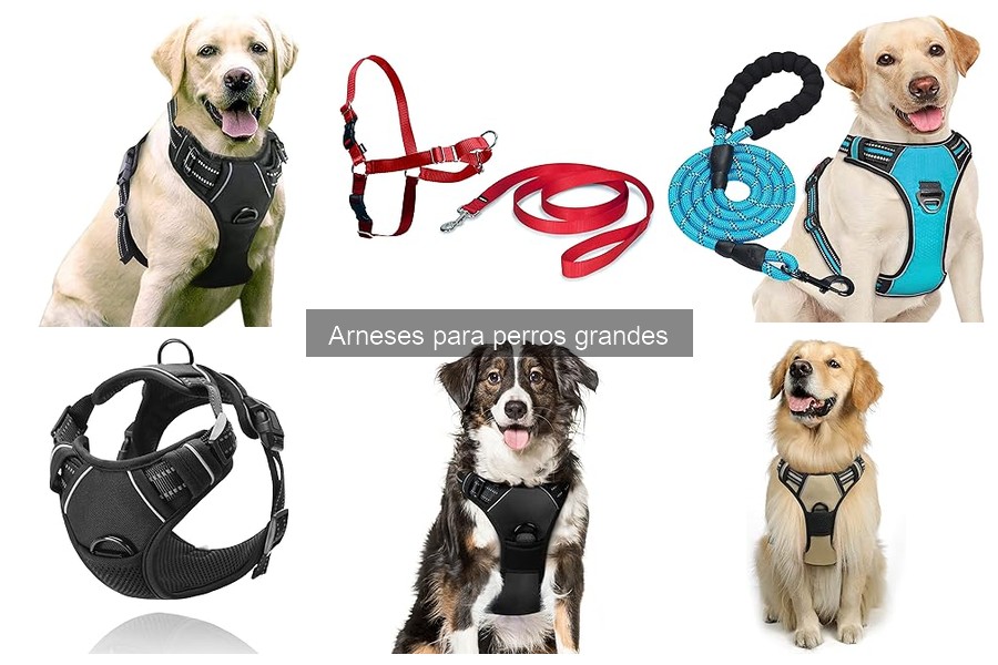 Ventajas y desventajas de arneses para perros grandes