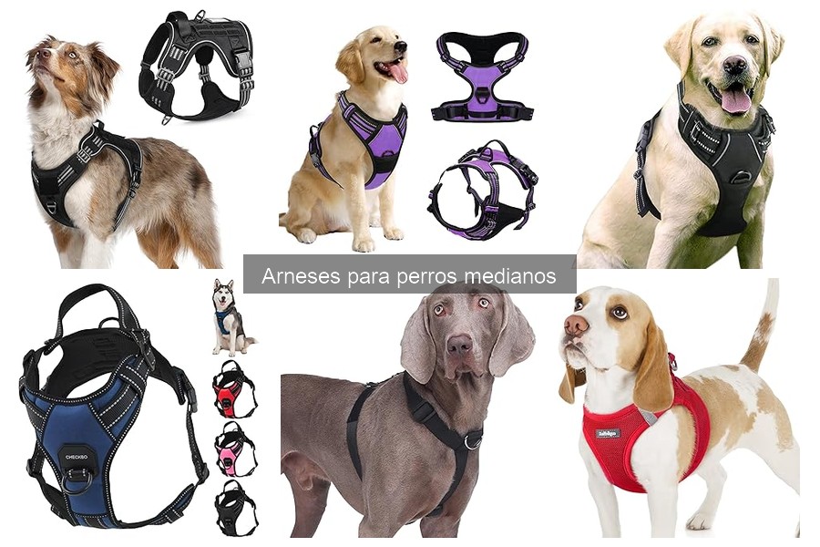 Ventajas y desventajas de arneses para perros medianos