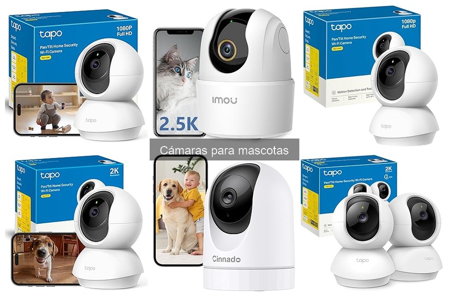 Ventajas y desventajas de cámaras para mascotas