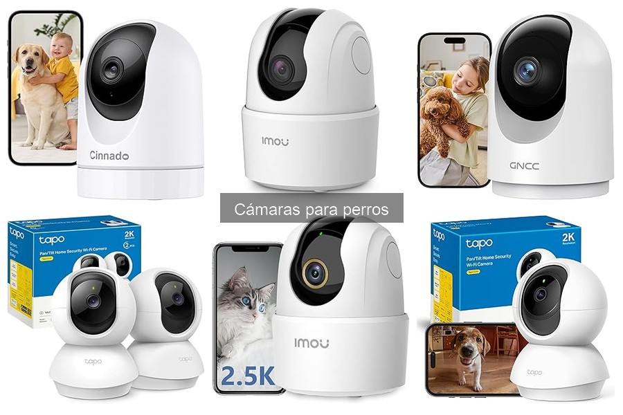Ventajas y Desventajas de Cámaras para Perros en Casa