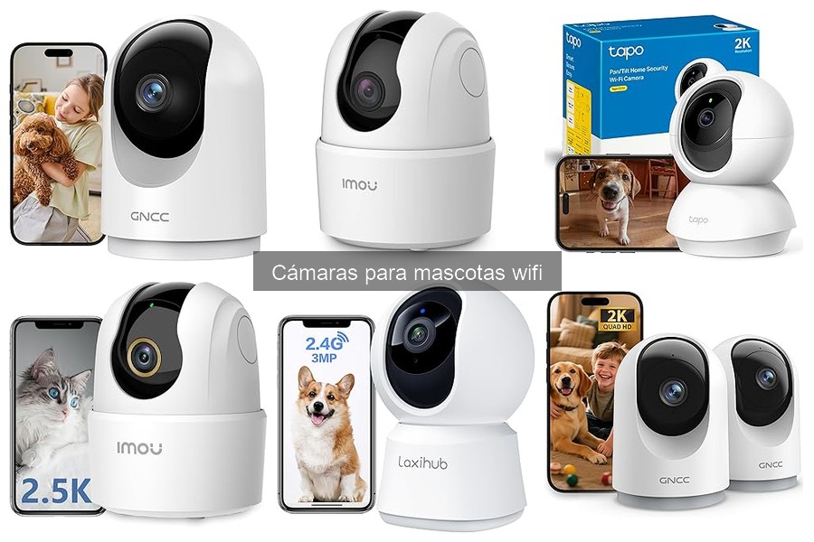 Ventajas y desventajas de cámaras WiFi para mascotas