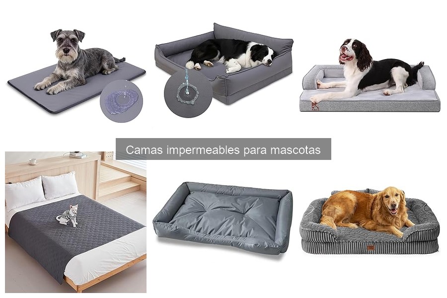 Ventajas y desventajas de camas impermeables para mascotas