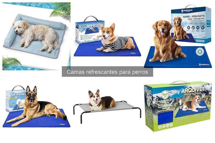 Ventajas y desventajas de camas refrescantes para perros