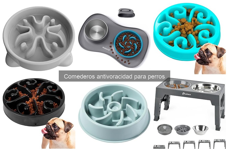 Ventajas y Desventajas de Comederos Antivoracidad para Perros