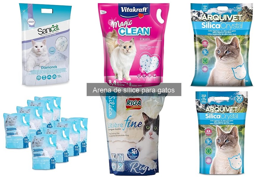 Ventajas y Desventajas de la Arena de Sílice para Gatos