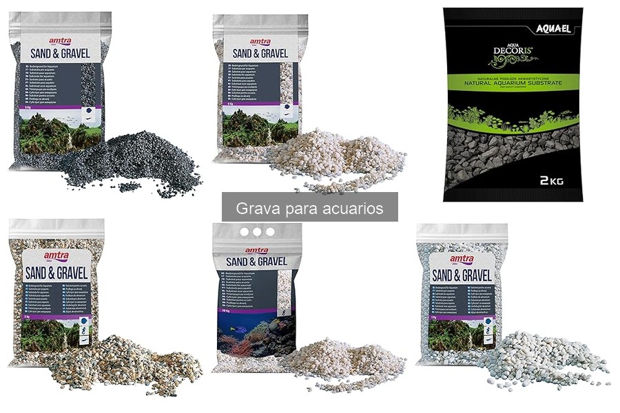 Ventajas y Desventajas de la Grava para Acuarios