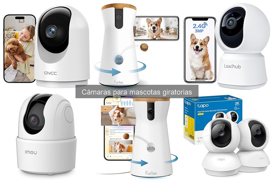 Ventajas y desventajas de las cámaras giratorias para mascotas