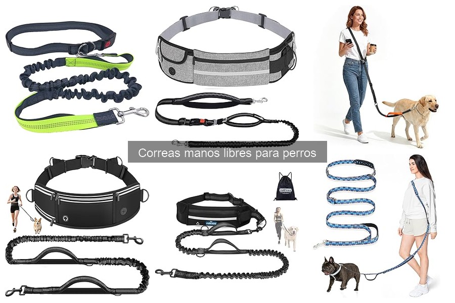 Ventajas y desventajas de las correas manos libres para perros