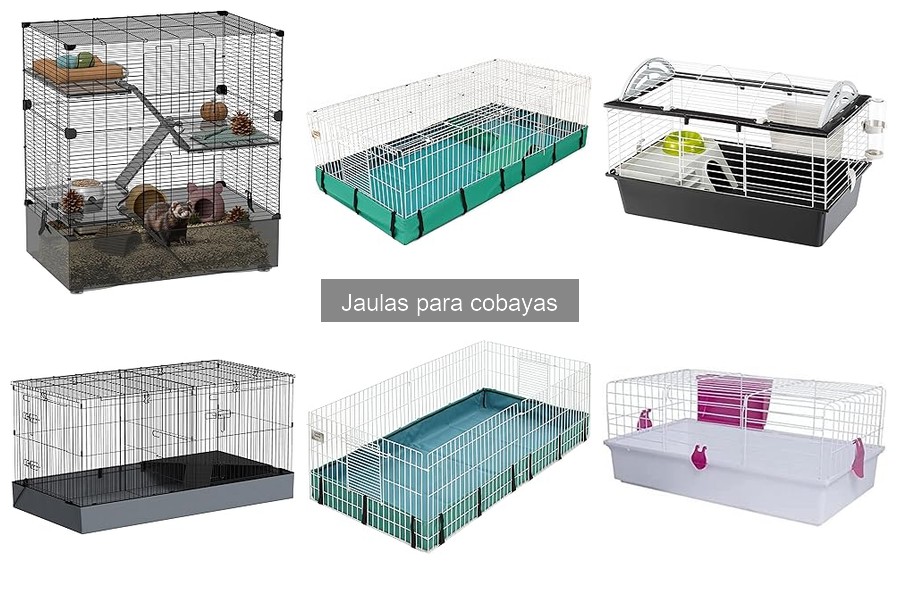 Ventajas y desventajas de las jaulas de madera para cobayas
