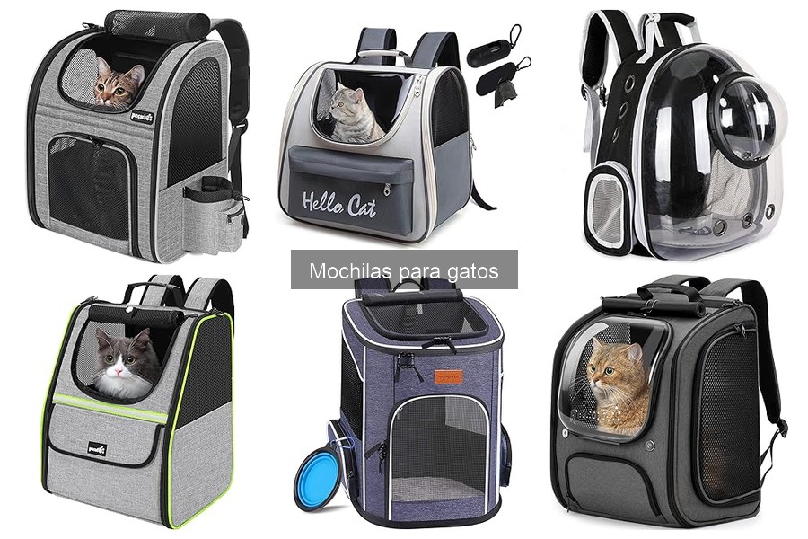 Ventajas y desventajas de las mochilas para gatos