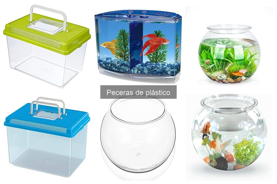 Ventajas y Desventajas de las Peceras de Plástico