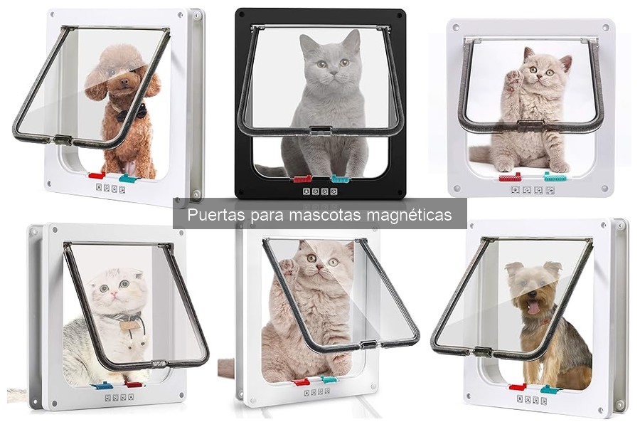 Ventajas y desventajas de las puertas magnéticas para mascotas