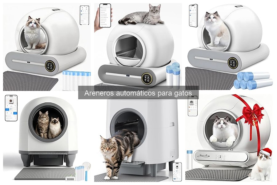 Ventajas y desventajas de los areneros automáticos para gatos