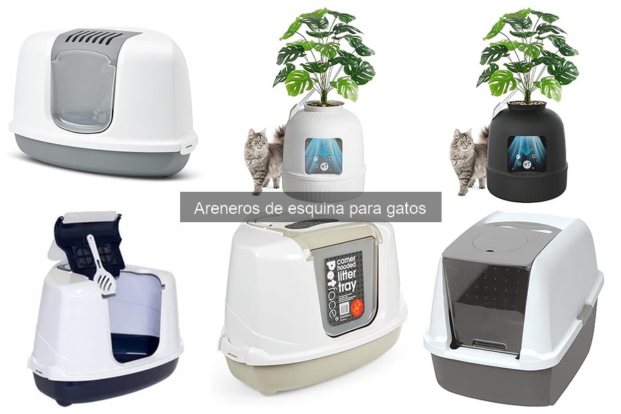 Ventajas y Desventajas de los Areneros de Esquina para Gatos