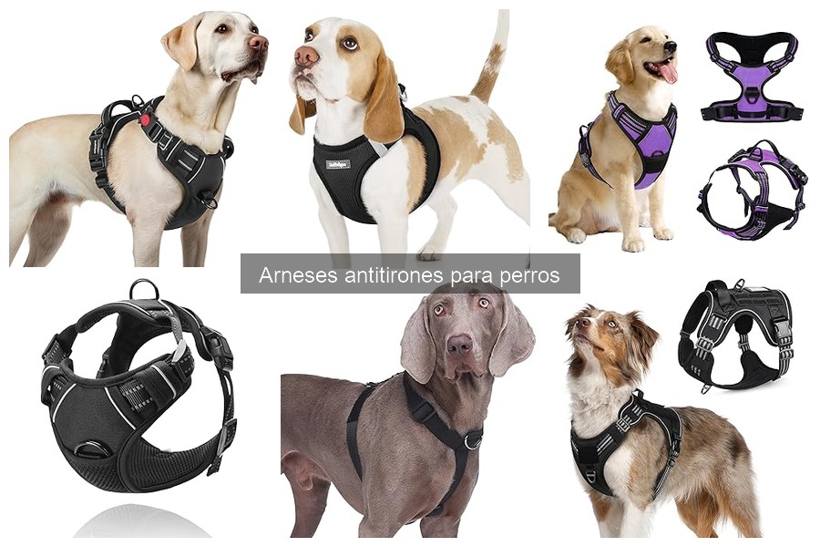 Ventajas y desventajas de los arneses antitirones para perros