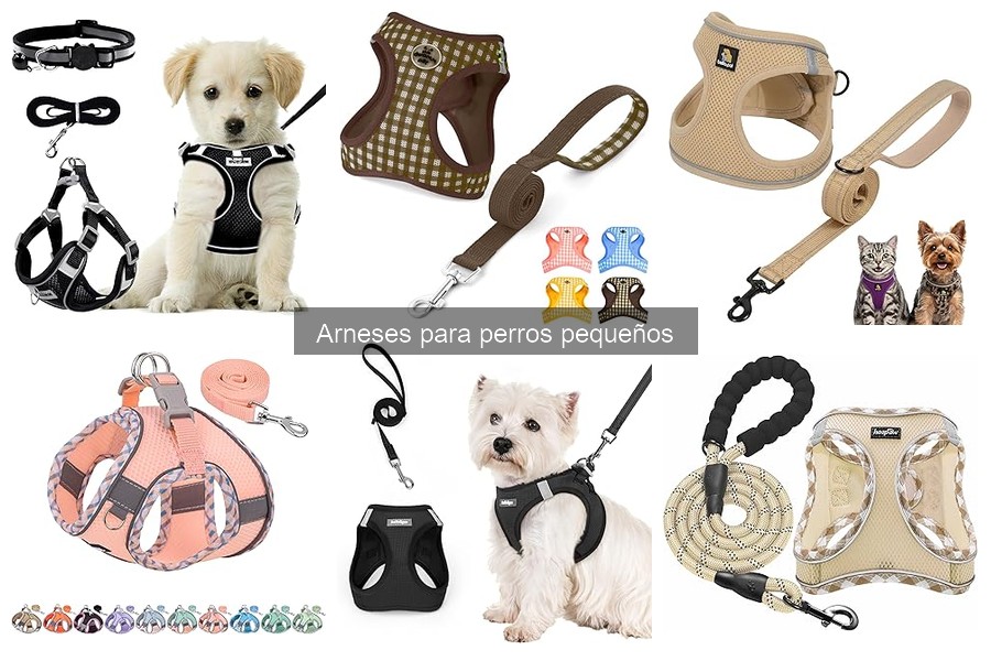 Ventajas y Desventajas de los Arneses para Perros Pequeños