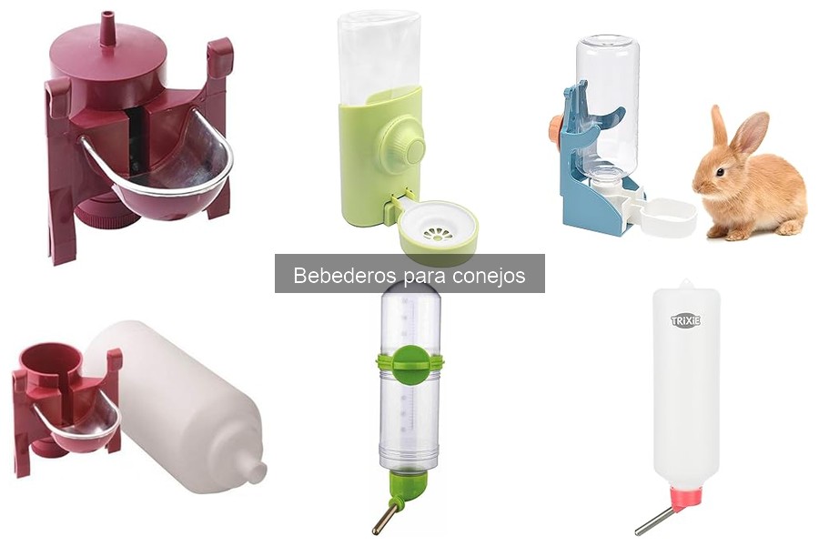 Ventajas y desventajas de los bebederos automáticos para conejos