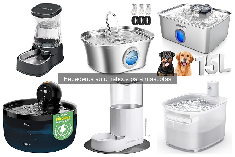 Ventajas y desventajas de los bebederos automáticos para mascotas