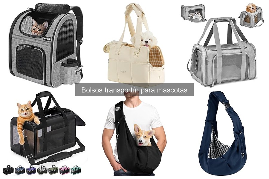 Ventajas y desventajas de los bolsos transportín para mascotas