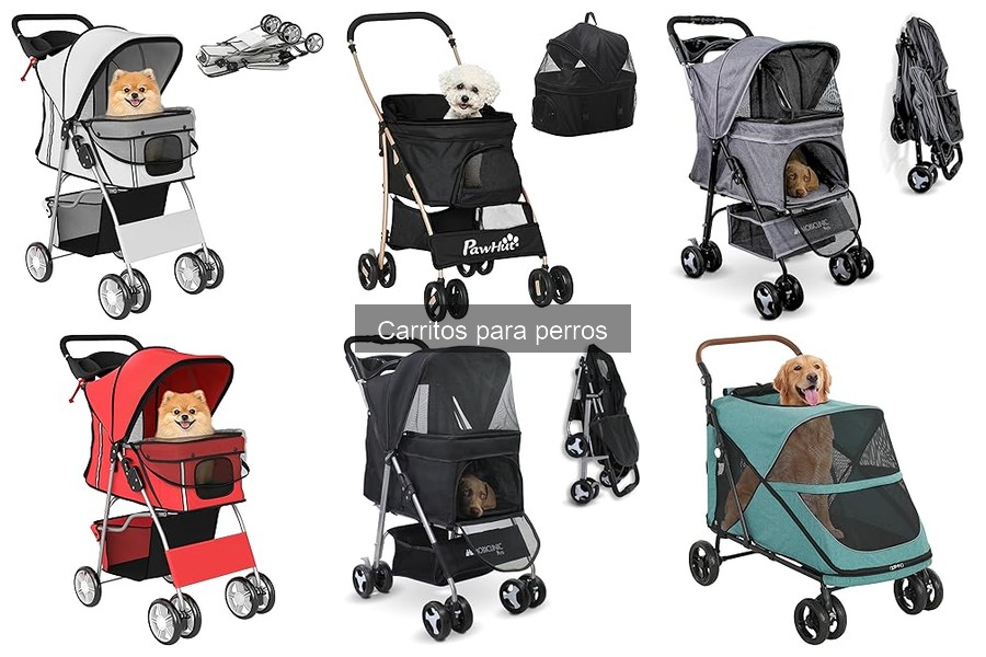 Ventajas y desventajas de los carritos para perros