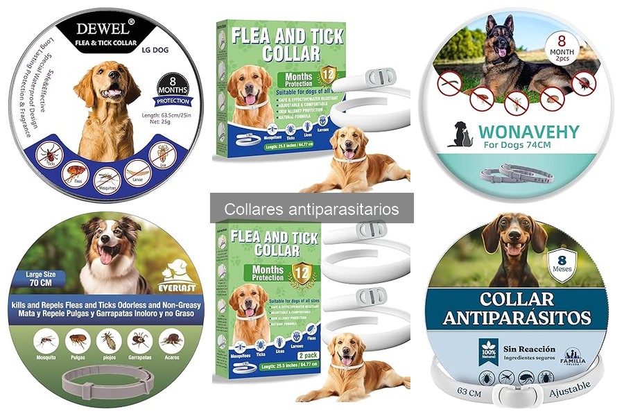 Ventajas y desventajas de los collares antiparasitarios para perros