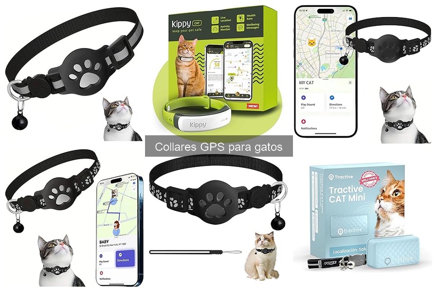 Ventajas y Desventajas de los Collares GPS para Gatos