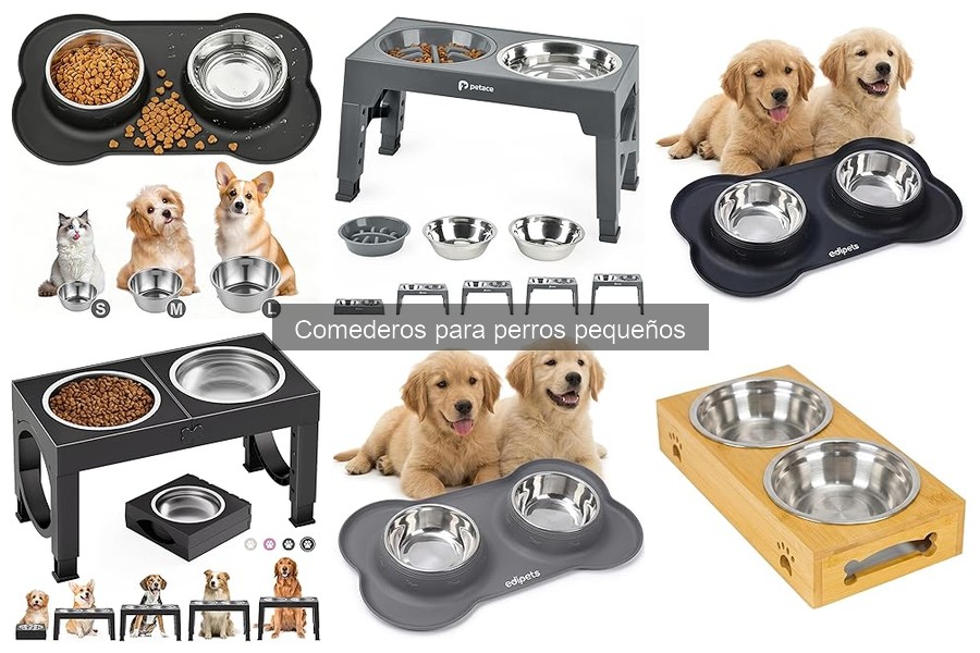 Ventajas y desventajas de los comederos automáticos para perros pequeños
