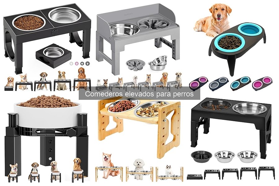Ventajas y Desventajas de los Comederos Elevados para Perros