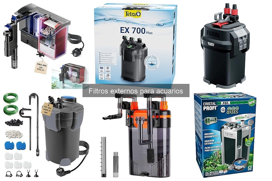 Ventajas y desventajas de los filtros externos para acuarios