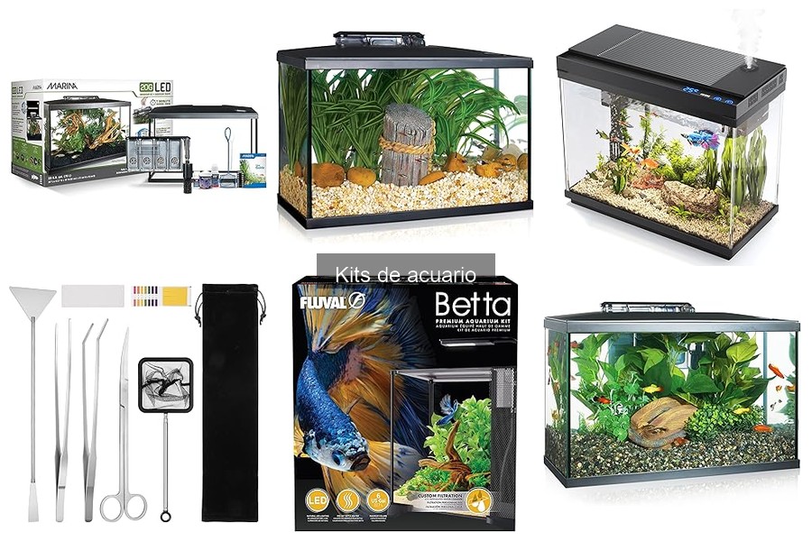 Ventajas y desventajas de los kits de acuario todo en uno